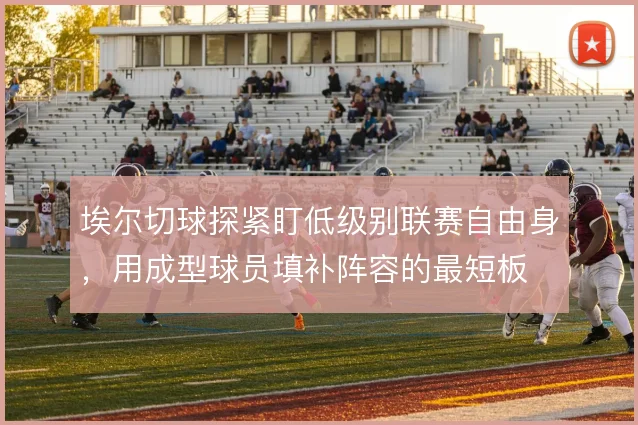 埃尔切球探紧盯低级别联赛自由身，用成型球员填补阵容的最短板